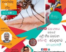 Facebook live session to discuss Dengue during the COVID-19 pandemic