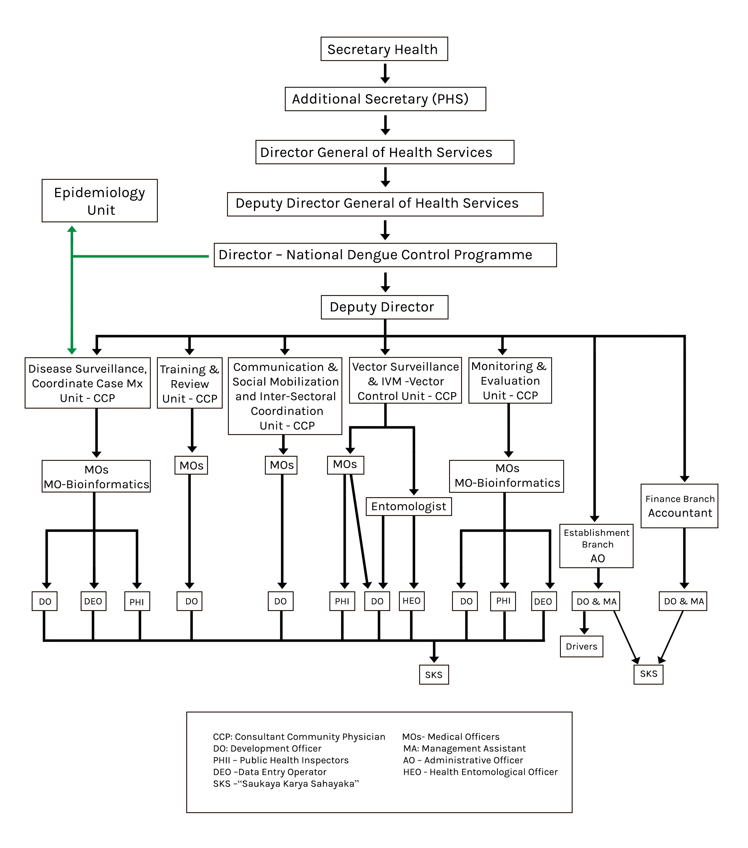 About Us Organizational Structure