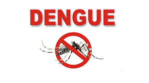 Island-wide Mosquito Control Campaign