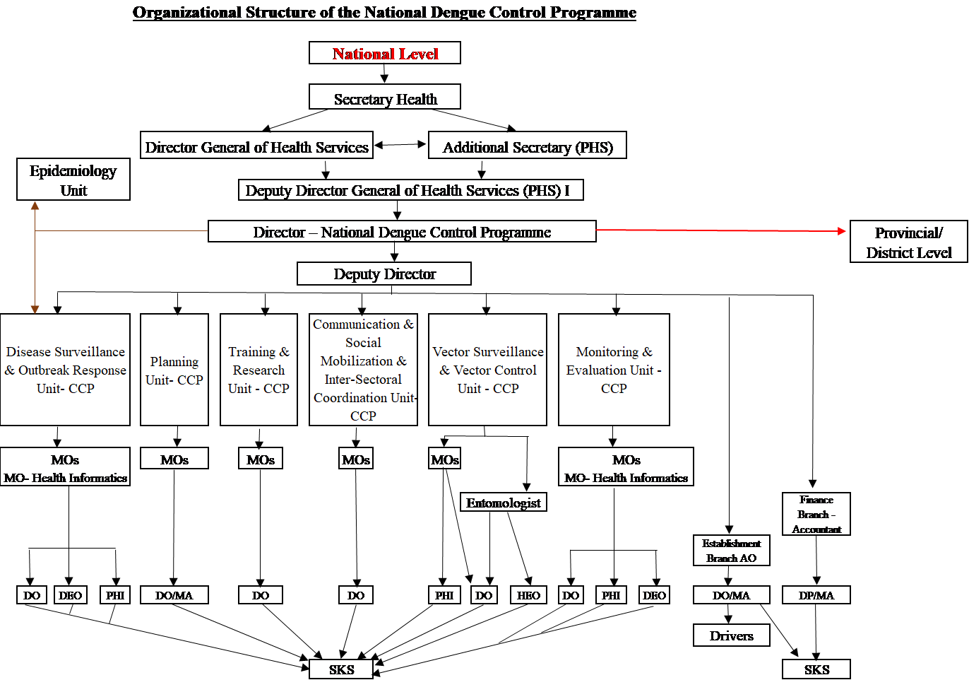 organization structure new