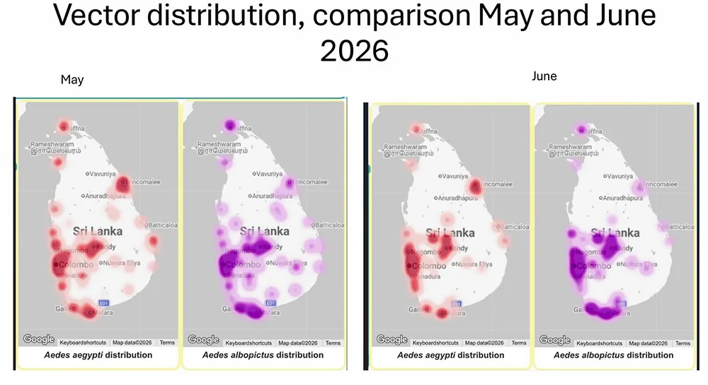 Sri Lanka Dengue Report